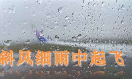 斜风细雨作晓寒,淡烟疏柳媚晴滩-斜风细雨