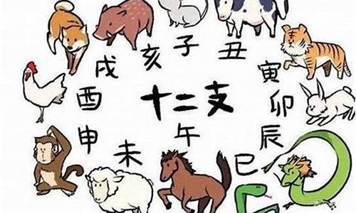 称孤道寡什么动物生肖-称孤什么什么成语