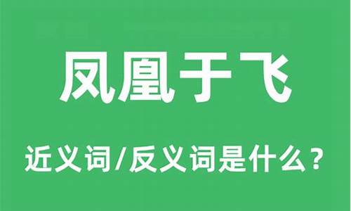 凤凰于飞是什么意思是什么意思-凤凰于飞是什么意思