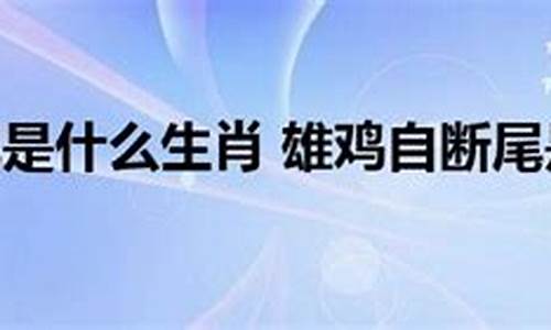 雄鸡断尾是什么动物-雄鸡断尾指什么动物