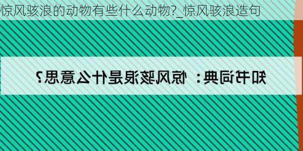 惊风骇浪的动物有些什么动物?_惊风骇浪造句