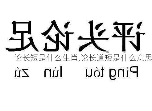 论长短是什么生肖,论长道短是什么意思