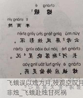 飞蛾误以烛为月,殁观空叹月非烛_飞蛾赴烛甘死祸