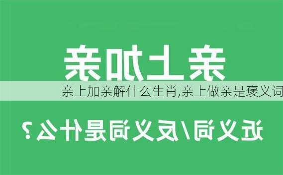 亲上加亲解什么生肖,亲上做亲是褒义词