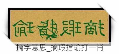 摘字意思_摘瑕指瑜打一肖