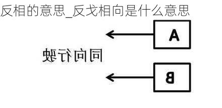 反相的意思_反戈相向是什么意思