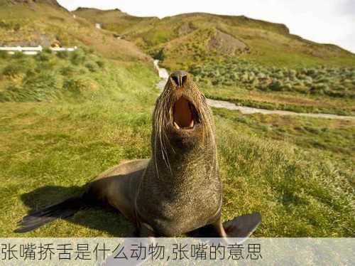 张嘴挢舌是什么动物,张嘴的意思