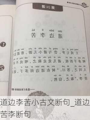 道边李苦小古文断句_道边苦李断句