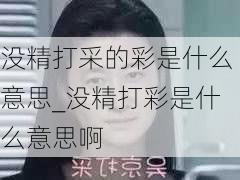 没精打采的彩是什么意思_没精打彩是什么意思啊