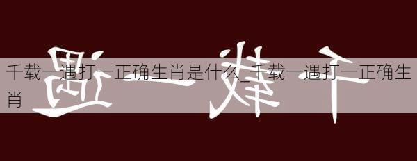 千载一遇打一正确生肖是什么_千载一遇打一正确生肖