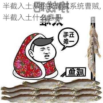 半截入土却给我曹贼系统曹贼,半截入土什么意思