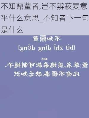 不知薡蕫者,岂不辨菽麦意乎什么意思_不知者下一句是什么