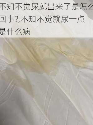 不知不觉尿就出来了是怎么回事?,不知不觉就尿一点是什么病