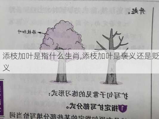 添枝加叶是指什么生肖,添枝加叶是褒义还是贬义