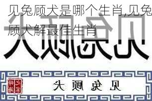 见兔顾犬是哪个生肖,见兔顾犬解最佳生肖