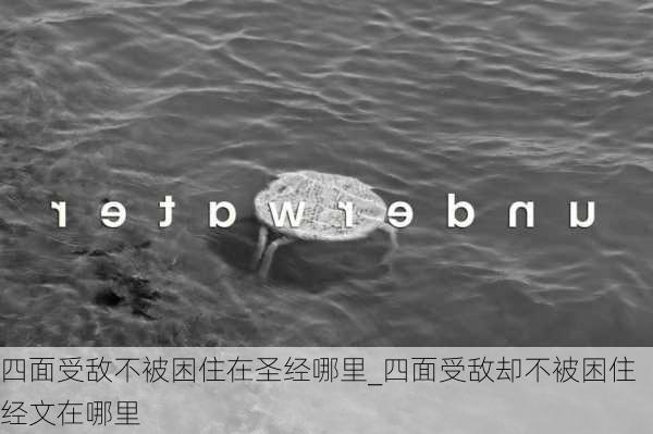 四面受敌不被困住在圣经哪里_四面受敌却不被困住经文在哪里