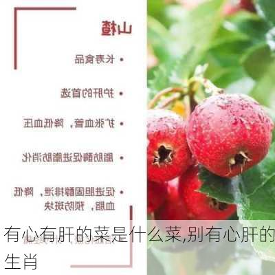 有心有肝的菜是什么菜,别有心肝的生肖