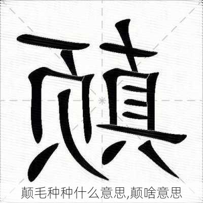 颠毛种种什么意思,颠啥意思