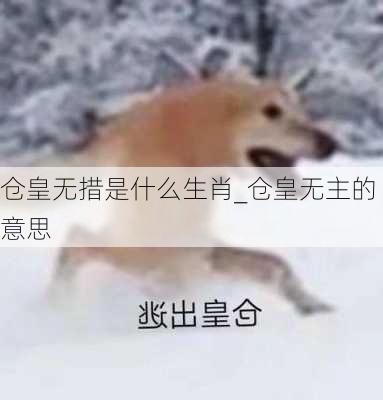 仓皇无措是什么生肖_仓皇无主的意思