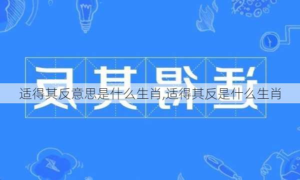 适得其反意思是什么生肖,适得其反是什么生肖