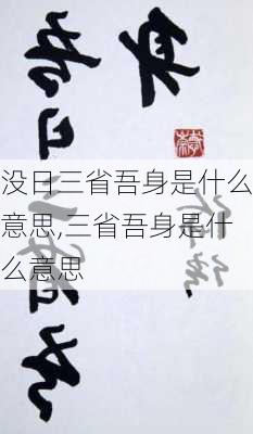 没日三省吾身是什么意思,三省吾身是什么意思