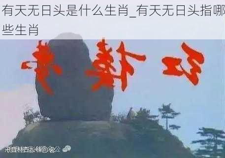 有天无日头是什么生肖_有天无日头指哪些生肖