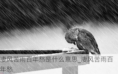 凄风苦雨百年愁是什么意思_凄风苦雨百年愁