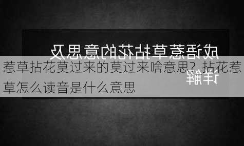 惹草拈花莫过来的莫过来啥意思?_拈花惹草怎么读音是什么意思