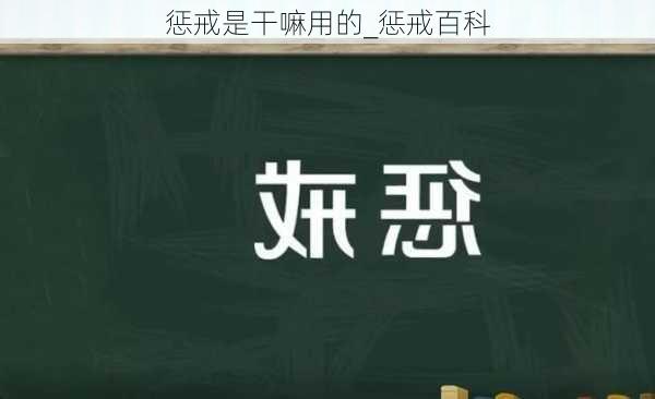 惩戒是干嘛用的_惩戒百科