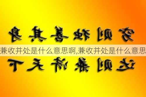 兼收并处是什么意思啊,兼收并处是什么意思