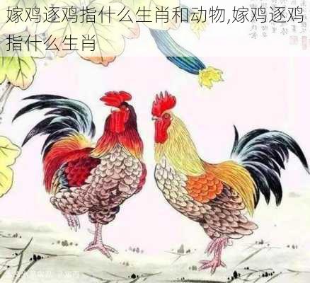 嫁鸡逐鸡指什么生肖和动物,嫁鸡逐鸡指什么生肖