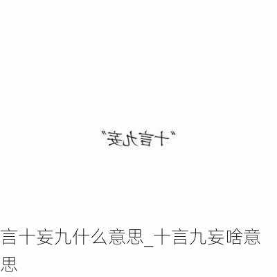 言十妄九什么意思_十言九妄啥意思