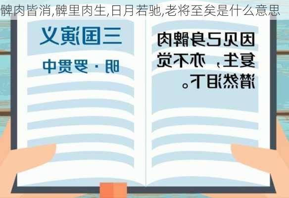 髀肉皆消,髀里肉生,日月若驰,老将至矣是什么意思