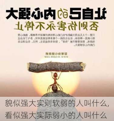 貌似强大实则软弱的人叫什么,看似强大实际弱小的人叫什么