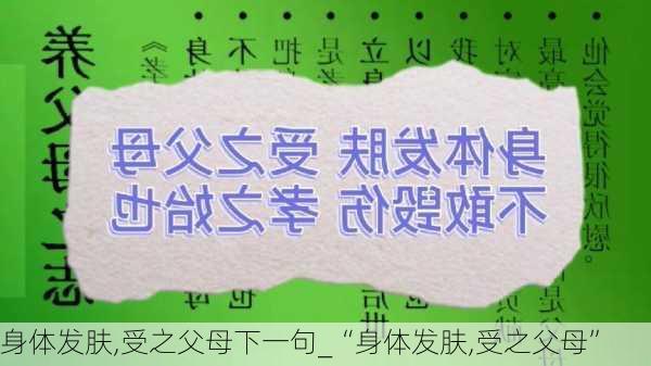 身体发肤,受之父母下一句_“身体发肤,受之父母”