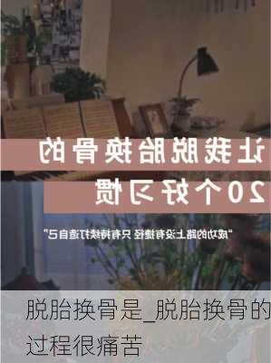 脱胎换骨是_脱胎换骨的过程很痛苦