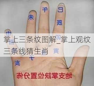 掌上三条纹图解_掌上观纹三条线猜生肖