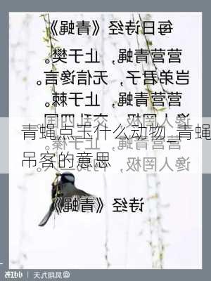 青蝇点玉什么动物_青蝇吊客的意思