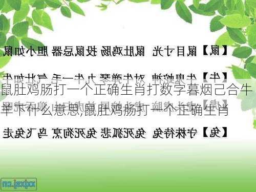 鼠肚鸡肠打一个正确生肖打数字暮烟己合牛羊下什么意思,鼠肚鸡肠打一个正确生肖