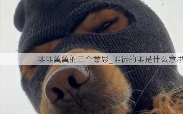 匪匪翼翼的三个意思_匪徒的匪是什么意思