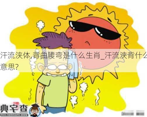 汗流浃体,背曲腰弯是什么生肖_汗流浃背什么意思?