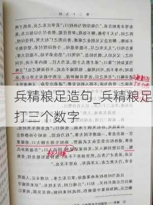 兵精粮足造句_兵精粮足打三个数字