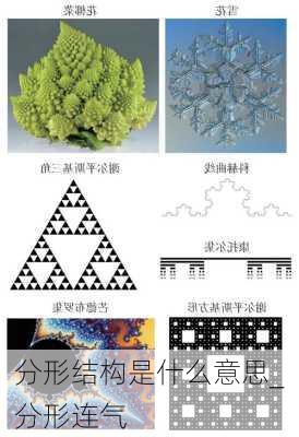 分形结构是什么意思_分形连气