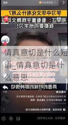 情真意切是什么短语_情真意切是什么意思