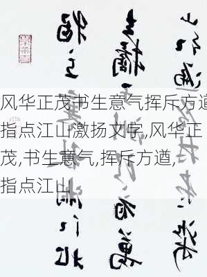 风华正茂书生意气挥斥方遒指点江山激扬文字,风华正茂,书生意气,挥斥方遒,指点江山