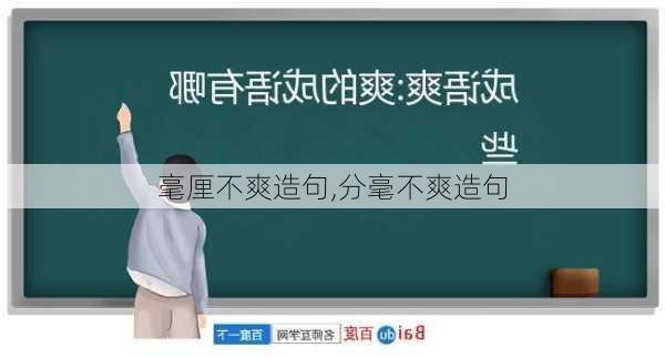 毫厘不爽造句,分毫不爽造句