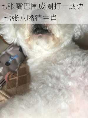 七张嘴巴围成圈打一成语_七张八嘴猜生肖