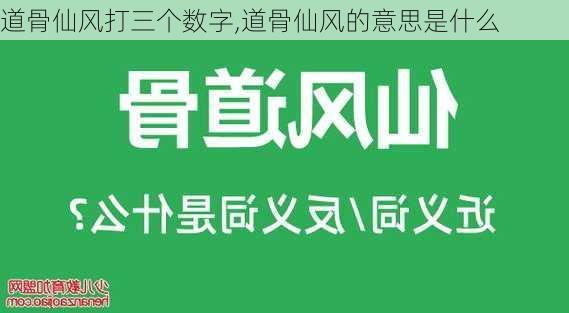 道骨仙风打三个数字,道骨仙风的意思是什么