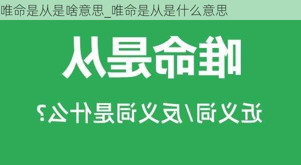 唯命是从是啥意思_唯命是从是什么意思