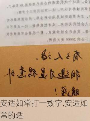 安适如常打一数字,安适如常的适